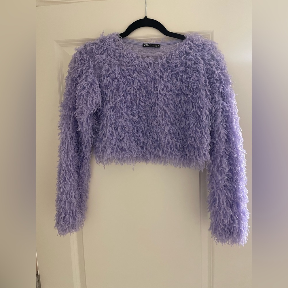 Zara cropped sweater